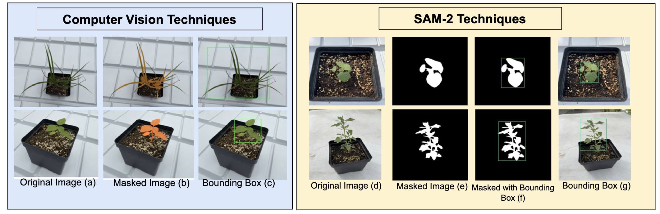 SAM-2 Integration
