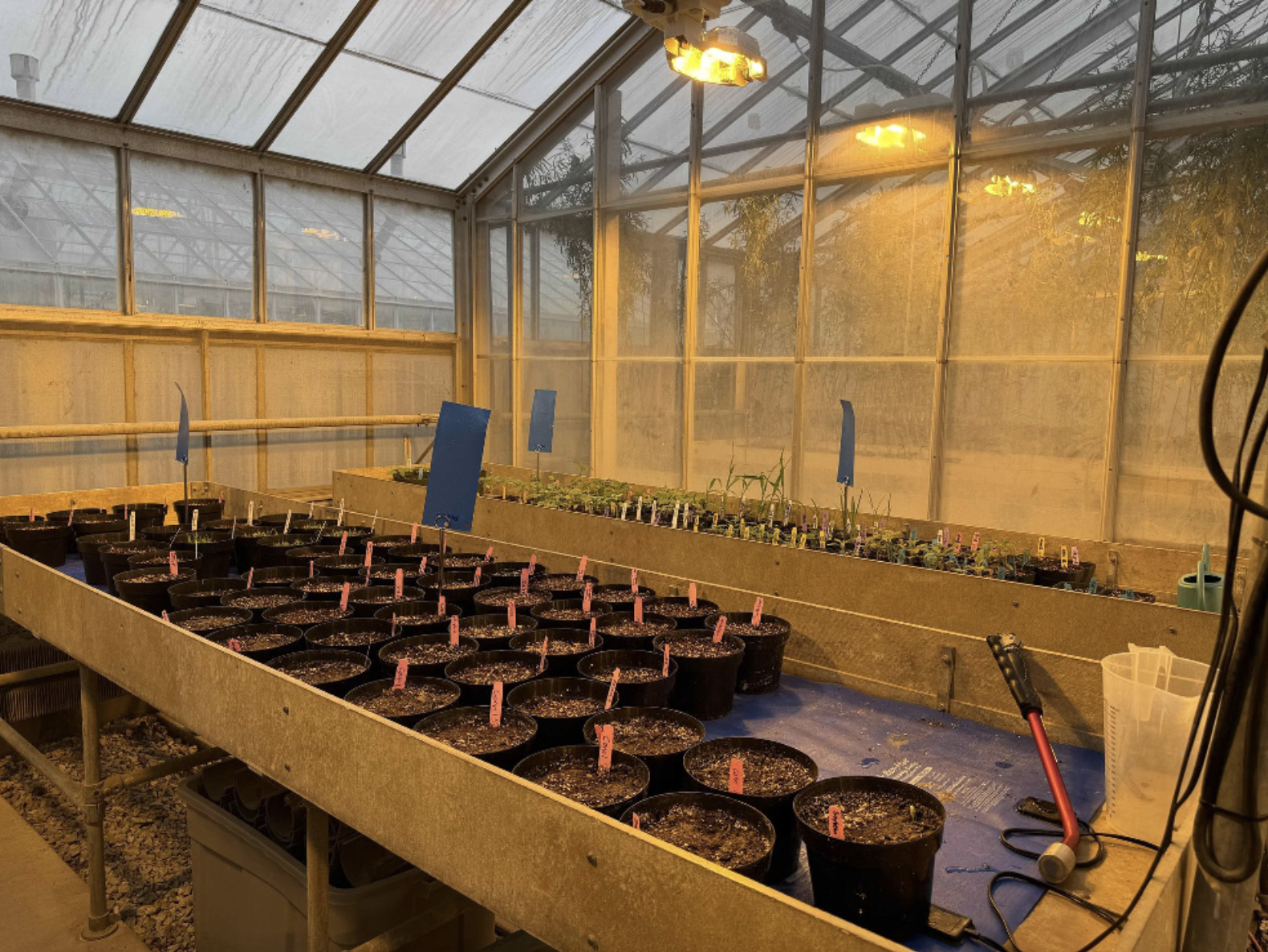 Greenhouse Setup