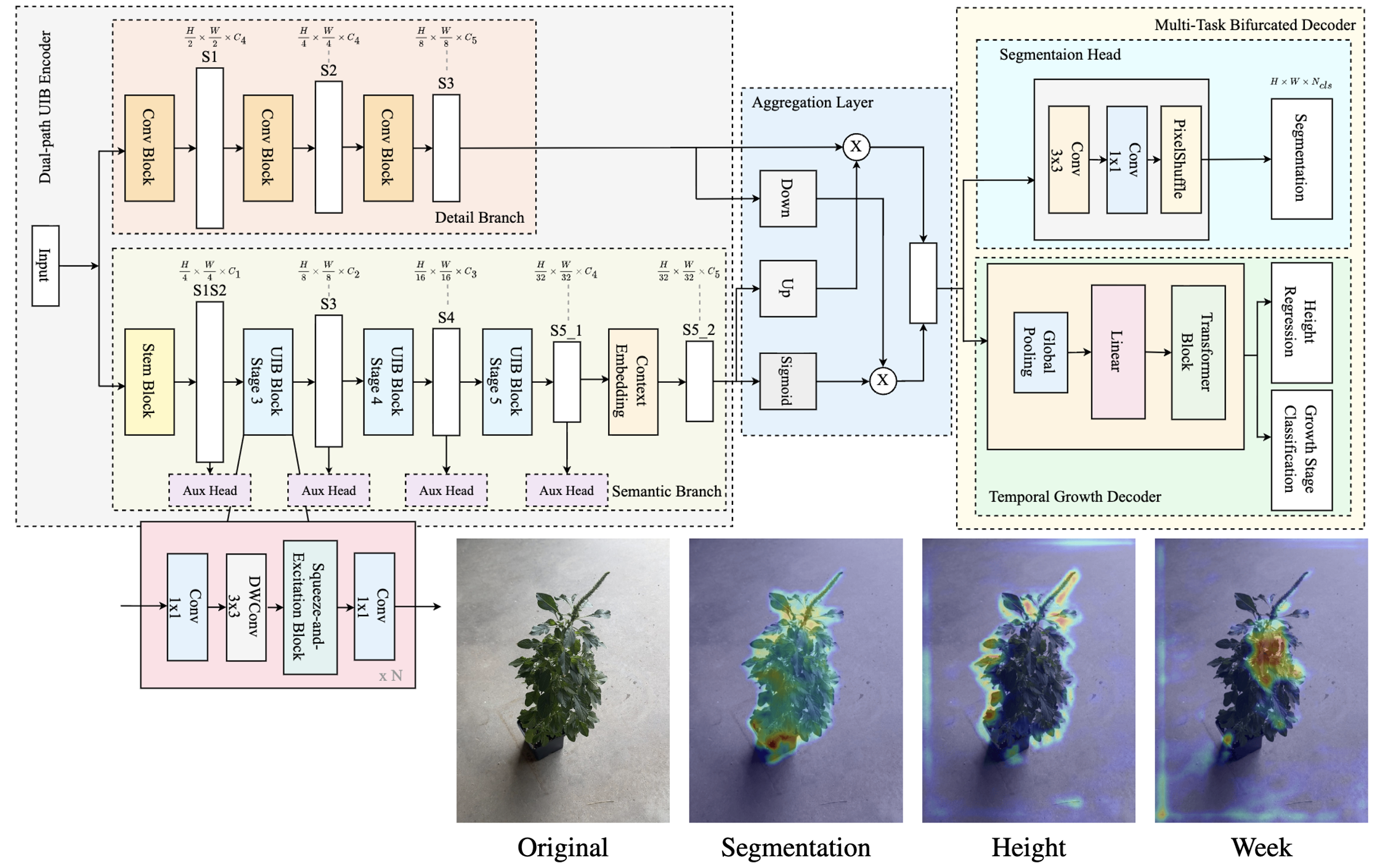 WeedSense Multi-Task Learning